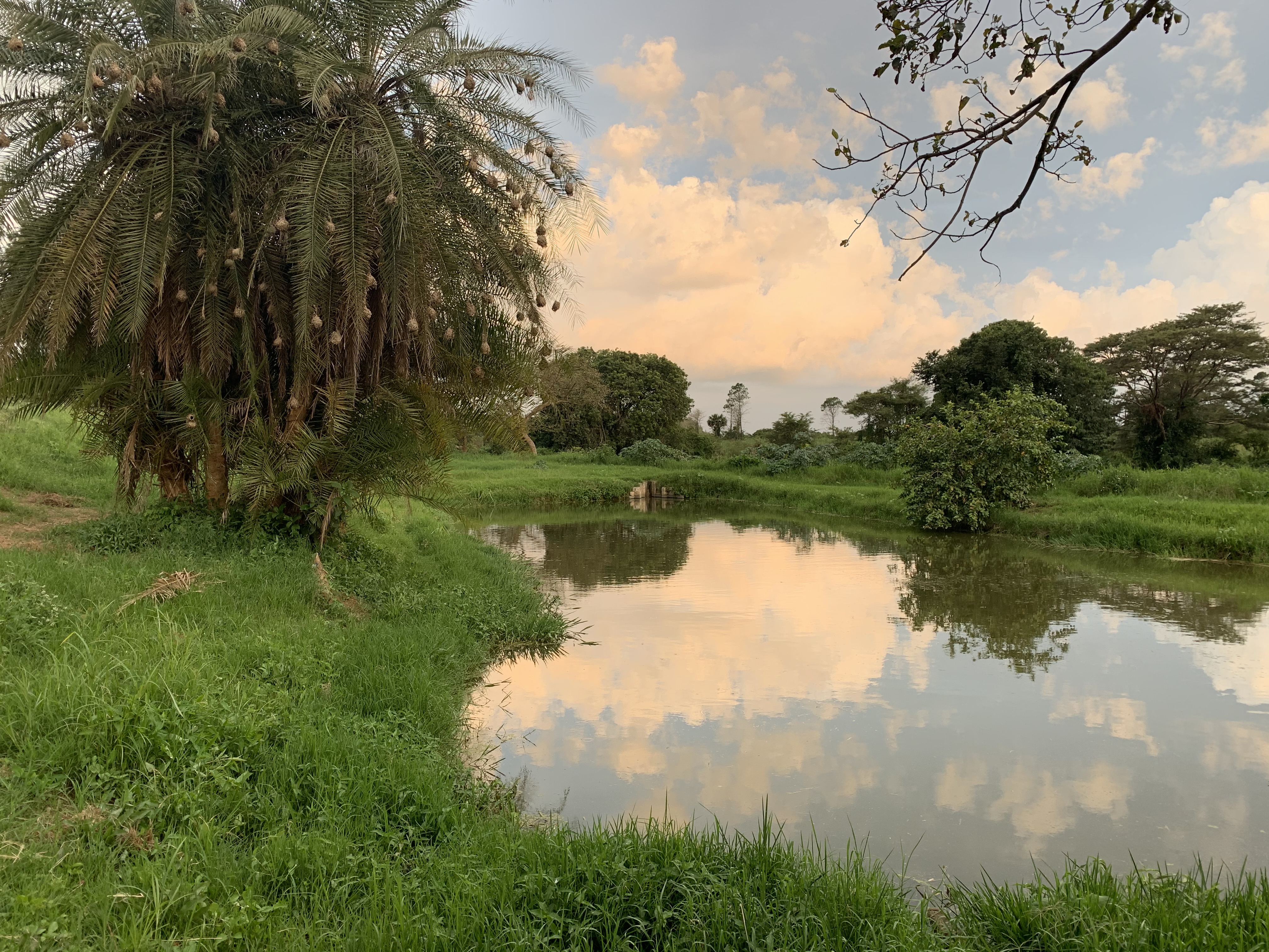 Crocodile Park Entrance
